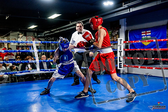 Cougar Boxing Basement Brawl -0176