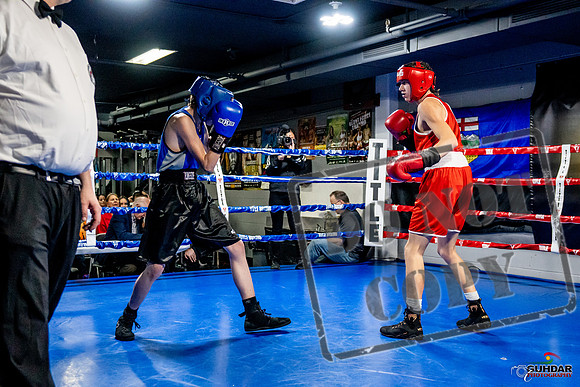 Cougar Boxing Basement Brawl -0110