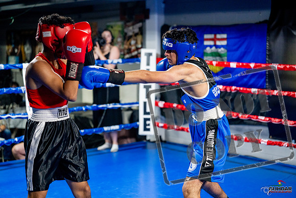 Cougar boxing June 7th 2025-0621