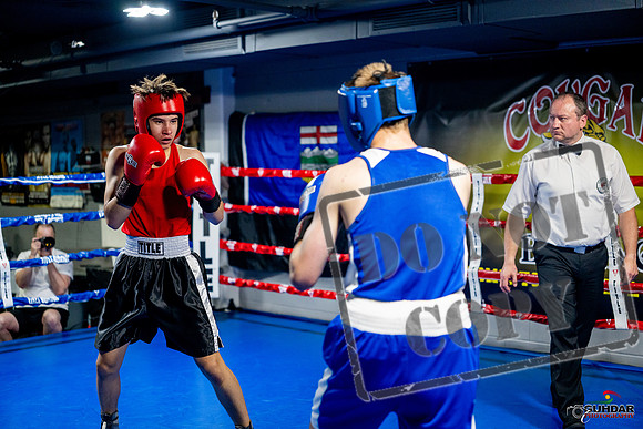 Cougar boxing June 7th 2025-0841