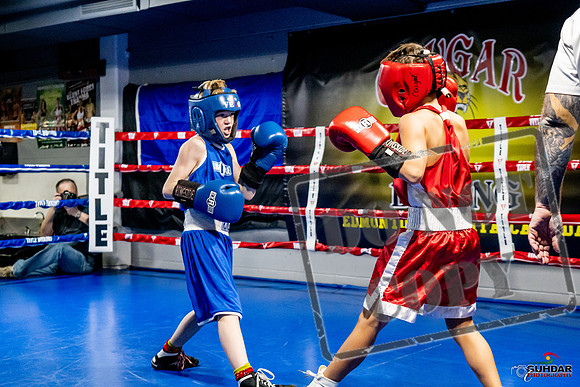 Cougar Boxing Basement Brawl -0071