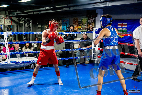 Cougar Boxing Basement Brawl -0469