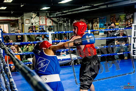 Cougar Boxing Basement Brawl -0541