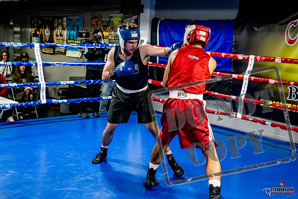 Cougar Boxing Basement Brawl -0420