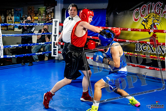 Cougar Boxing Basement Brawl -0536