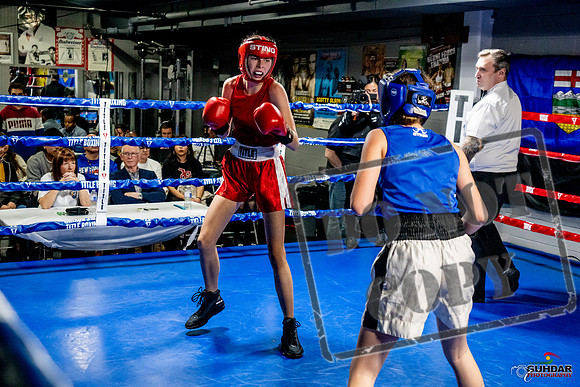 Cougar Boxing Basement Brawl -0592