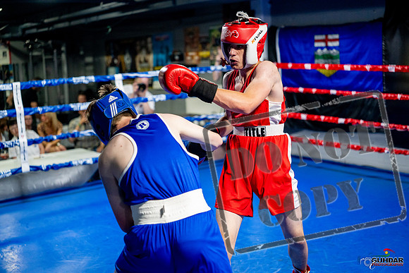 Cougar boxing June 7th 2025-0917