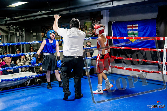 Cougar Boxing Basement Brawl -0504