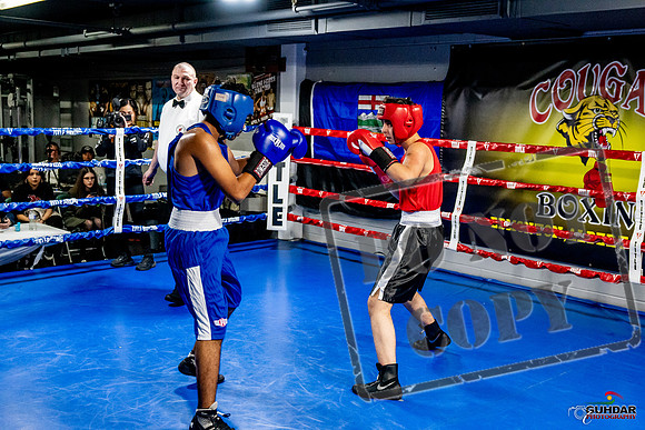 Cougar Boxing Basement Brawl -0605
