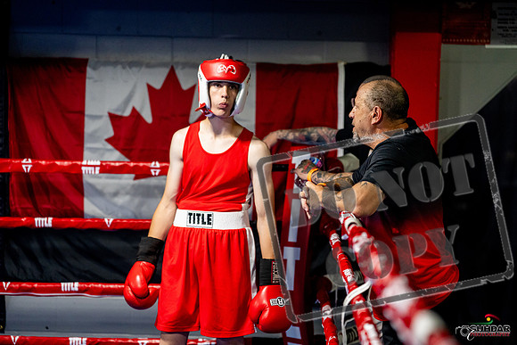 Cougar boxing June 7th 2025-0861