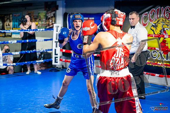 Cougar boxing June 7th 2025-0138