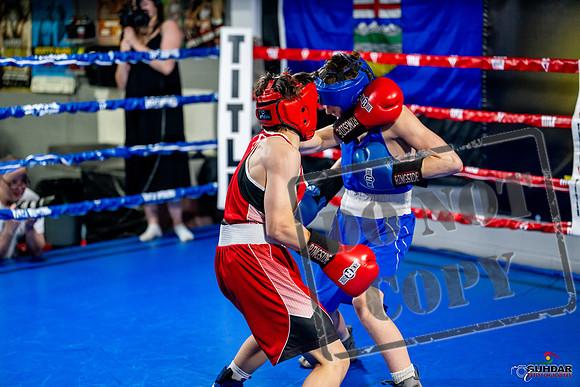 Cougar boxing June 7th 2025-0523