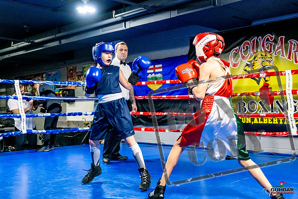 Cougar Boxing Basement Brawl -0059