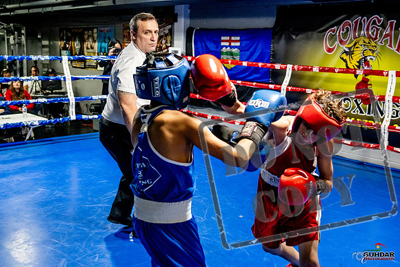 Cougar Boxing Basement Brawl -0347