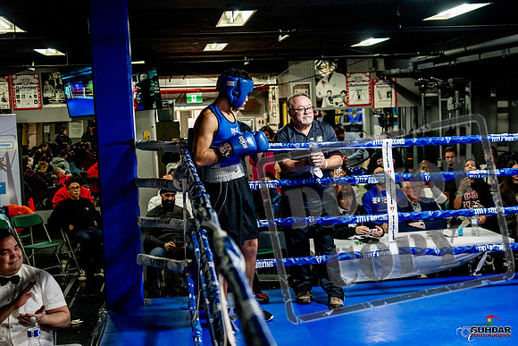 Cougar Boxing Basement Brawl -0654
