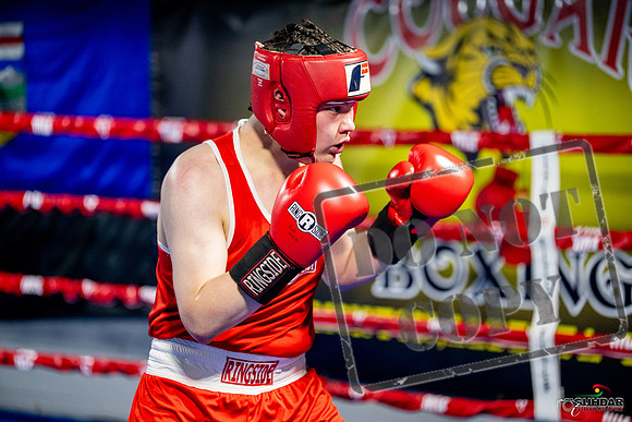 Cougar boxing June 7th 2025-0745