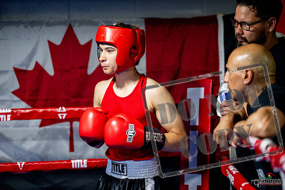 Cougar boxing June 7th 2025-0788