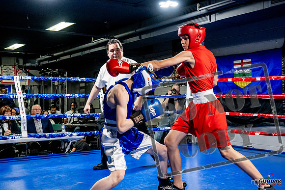 Cougar Boxing Basement Brawl -0177