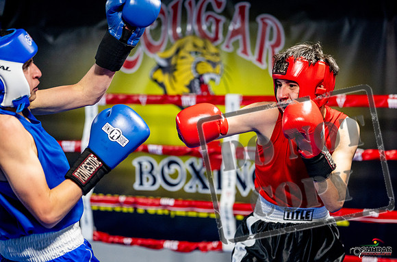 Cougar boxing June 7th 2025-0675