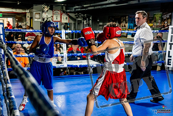 Cougar Boxing Basement Brawl -0345