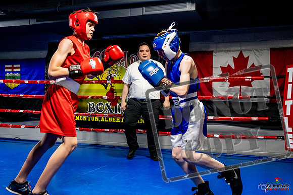 Cougar Boxing Basement Brawl -0178