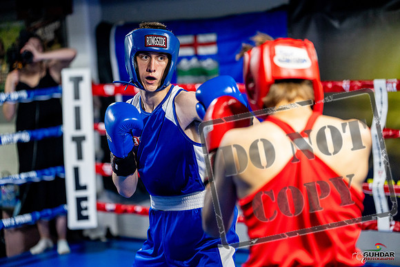 Cougar boxing June 7th 2025-0797