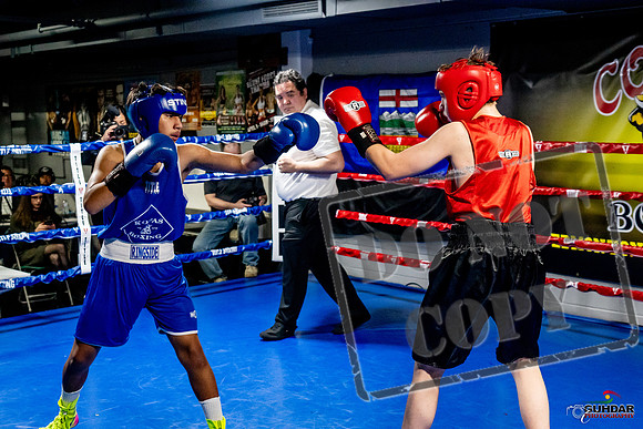 Cougar Boxing Basement Brawl -0525