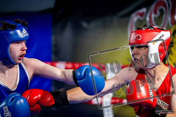 Cougar boxing June 7th 2025-0922