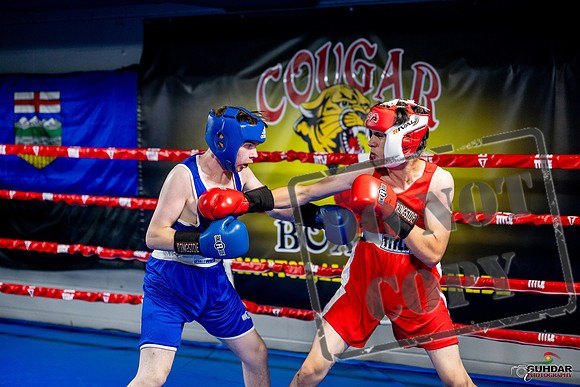 Cougar boxing June 7th 2025-0893
