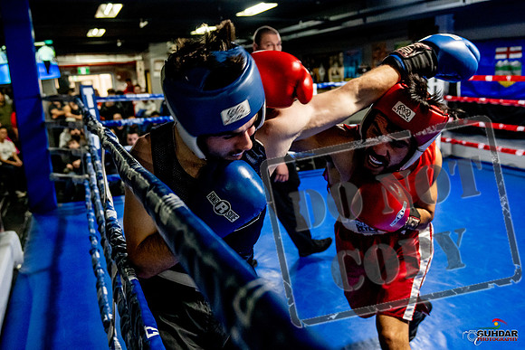 Cougar Boxing Basement Brawl -0398