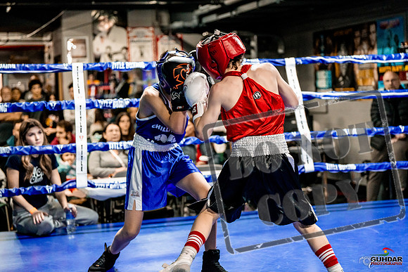 Cougar Boxing Basement Brawl -0015
