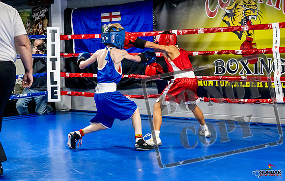 Cougar Boxing Basement Brawl -0096