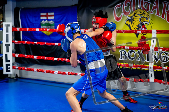 Cougar boxing June 7th 2025-0682
