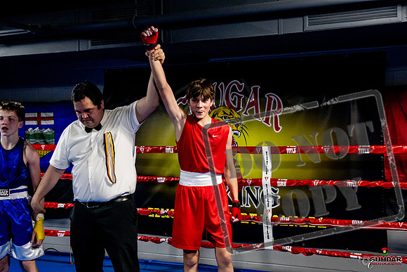 Cougar Boxing Basement Brawl -0212