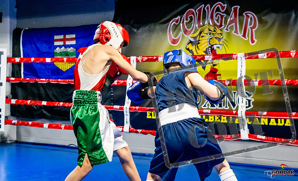 Cougar Boxing Basement Brawl -0055