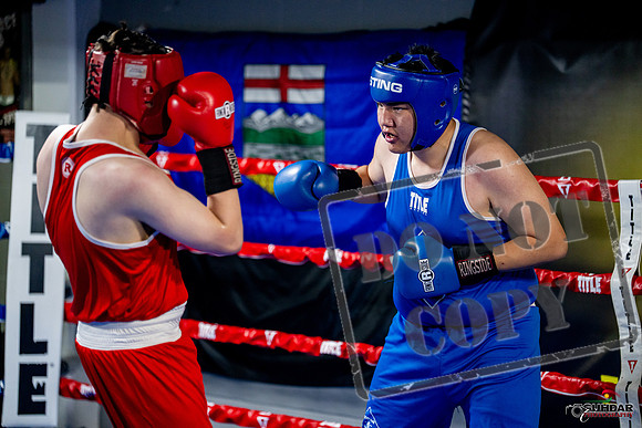 Cougar boxing June 7th 2025-0751