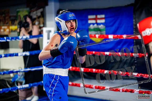 Cougar boxing June 7th 2025-0684