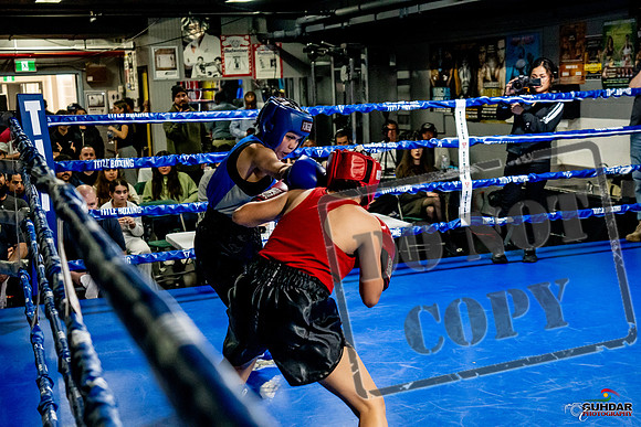 Cougar Boxing Basement Brawl -0551