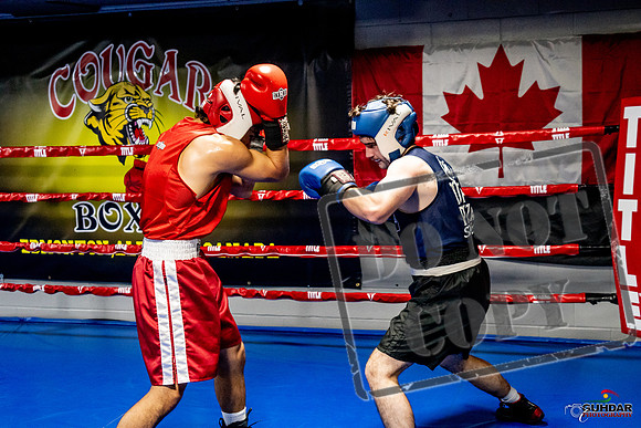 Cougar Boxing Basement Brawl -0395