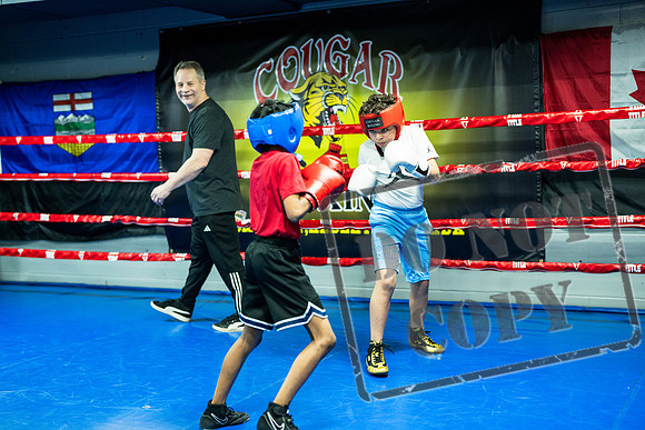 Cougar Boxing -0008