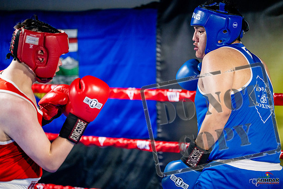 Cougar boxing June 7th 2025-0761