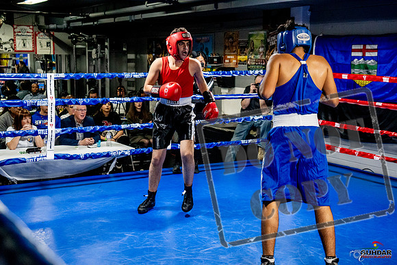 Cougar Boxing Basement Brawl -0613