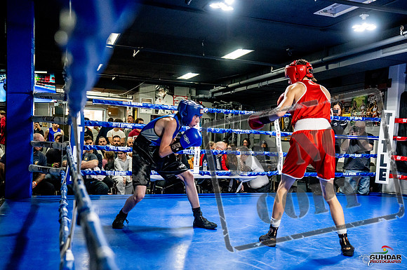 Cougar Boxing Basement Brawl -0118