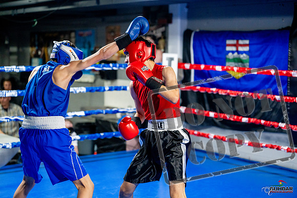 Cougar boxing June 7th 2025-0659