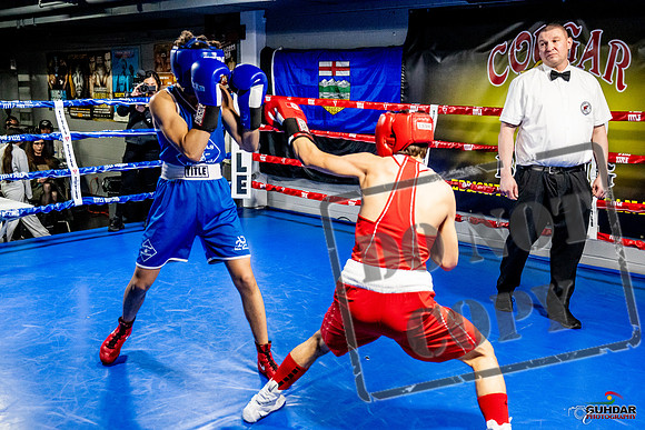 Cougar Boxing Basement Brawl -0439