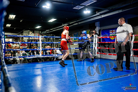 Cougar Boxing Basement Brawl -0119