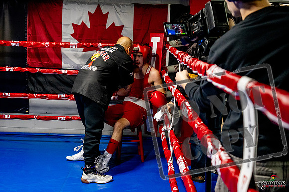 Cougar Boxing Basement Brawl -0451