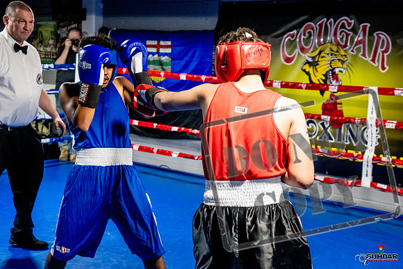 Cougar Boxing Basement Brawl -0641