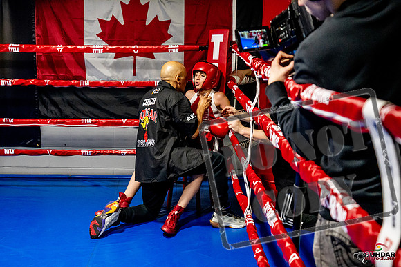 Cougar Boxing Basement Brawl -0339