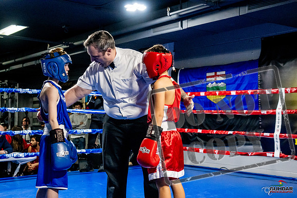 Cougar Boxing Basement Brawl -0067